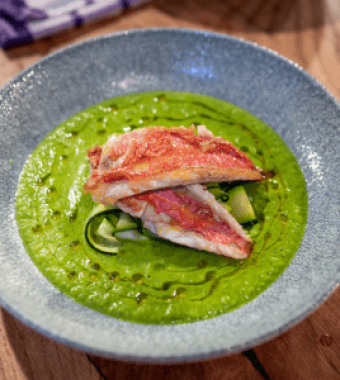 Courgette Cream with Red Mullet
